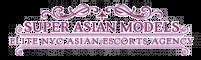 elite new york asian escorts services  Visit Website